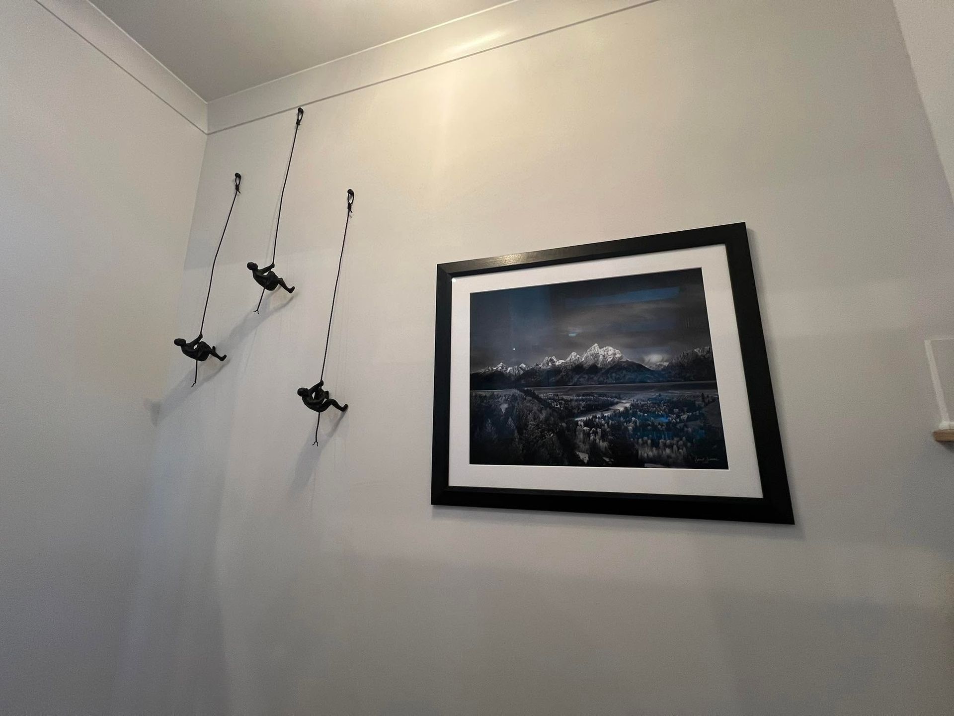 Two black bird ornaments hanging on white wall beside framed landscape photo