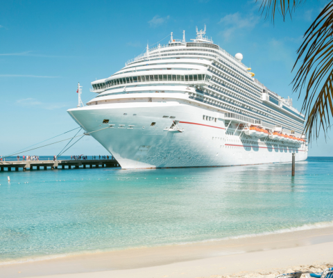 A large white cruise ship docked at a pier in clear, shallow turquoise water under a blue sky, with palm leaves visible.