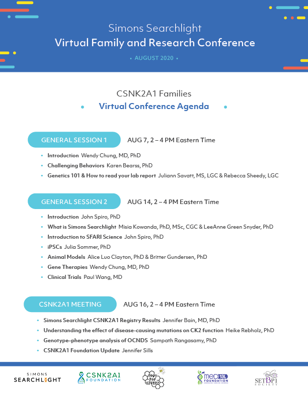 Virtual Conference