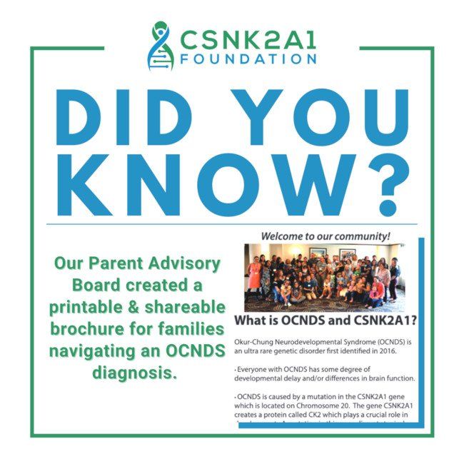 Parent Advisory created brochure for families navigating an OCNDS diagnosis