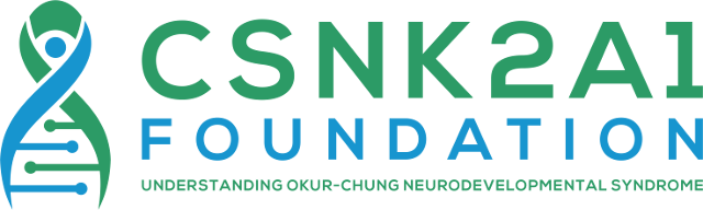 A logo for the csnk2al foundation