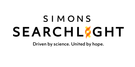 Simons Searchlight Simons Searchlight