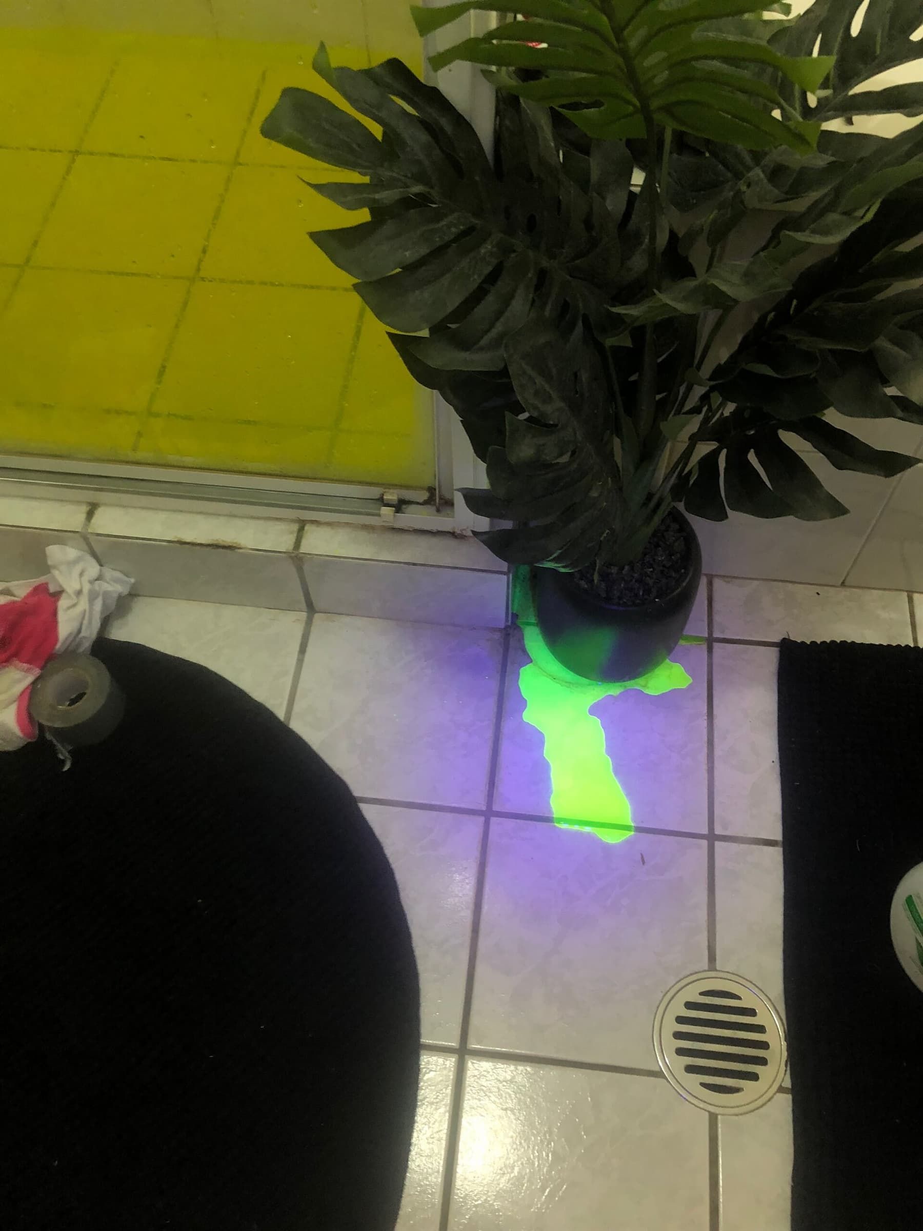 Leak Found Under Blue Light— Plumbers & Gas Fitters in Coconut Grove, NT