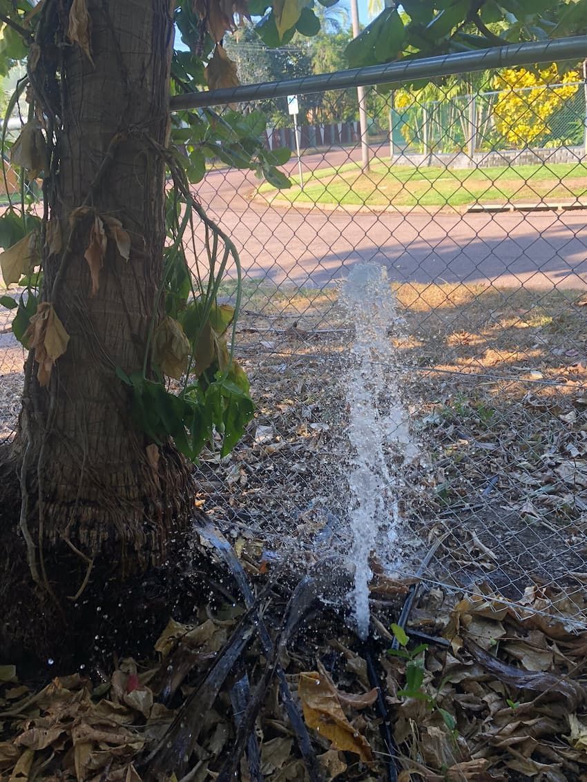 Water Leaking From Irrigation Pipe — Plumbers & Gas Fitters in Coconut Grove, NT