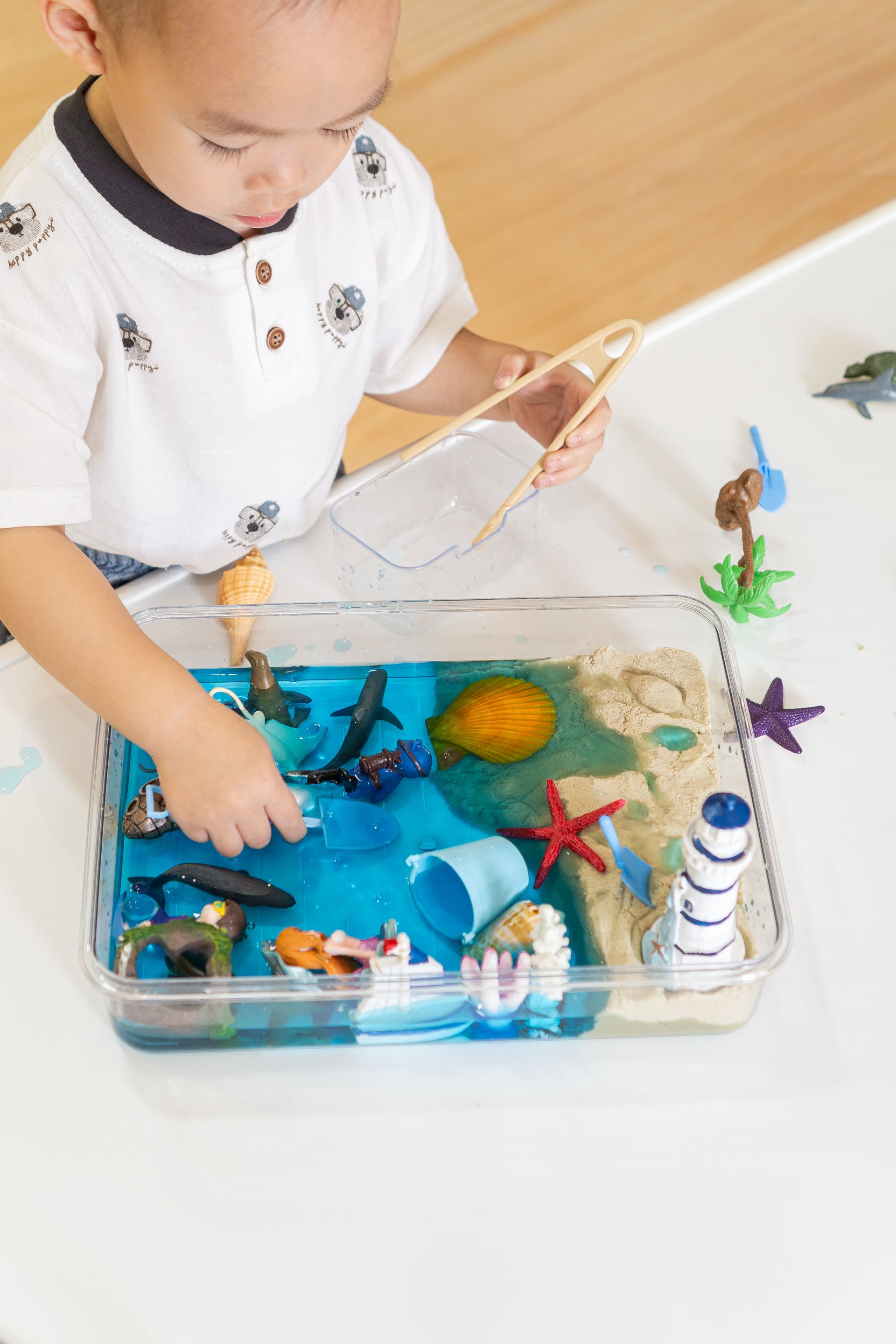 Craft kit with sea-themed toys, tools, and molds arranged on a bright tabletop
