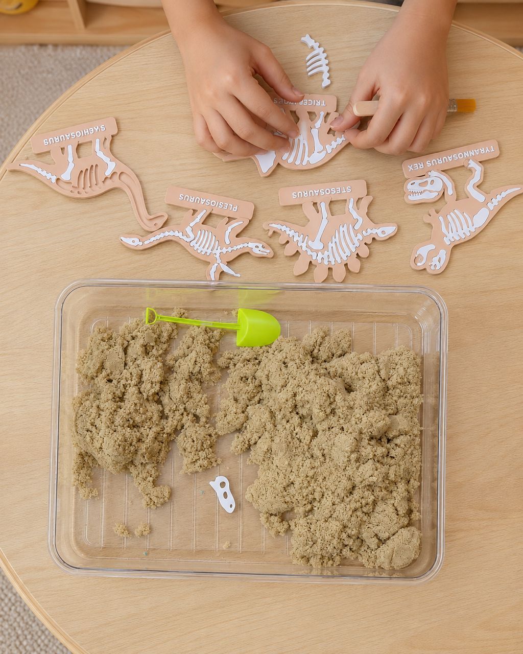 Dinosaur Fossil Play Kit