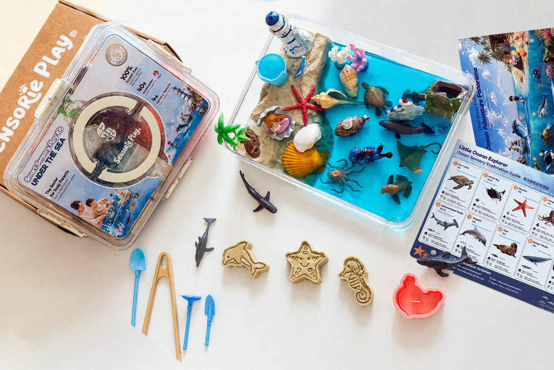 Craft kit with sea-themed toys, tools, and molds arranged on a bright tabletop
