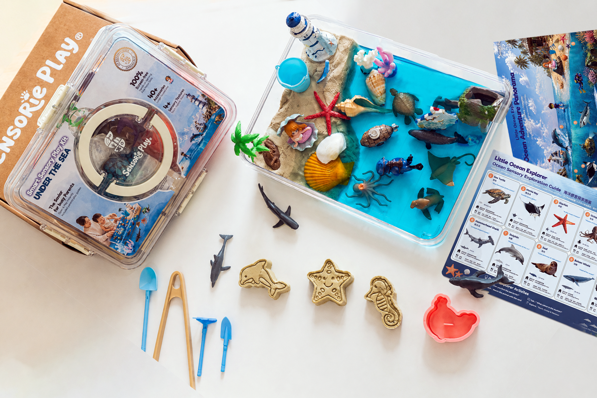 Craft kit with sea-themed toys, tools, and molds arranged on a bright tabletop