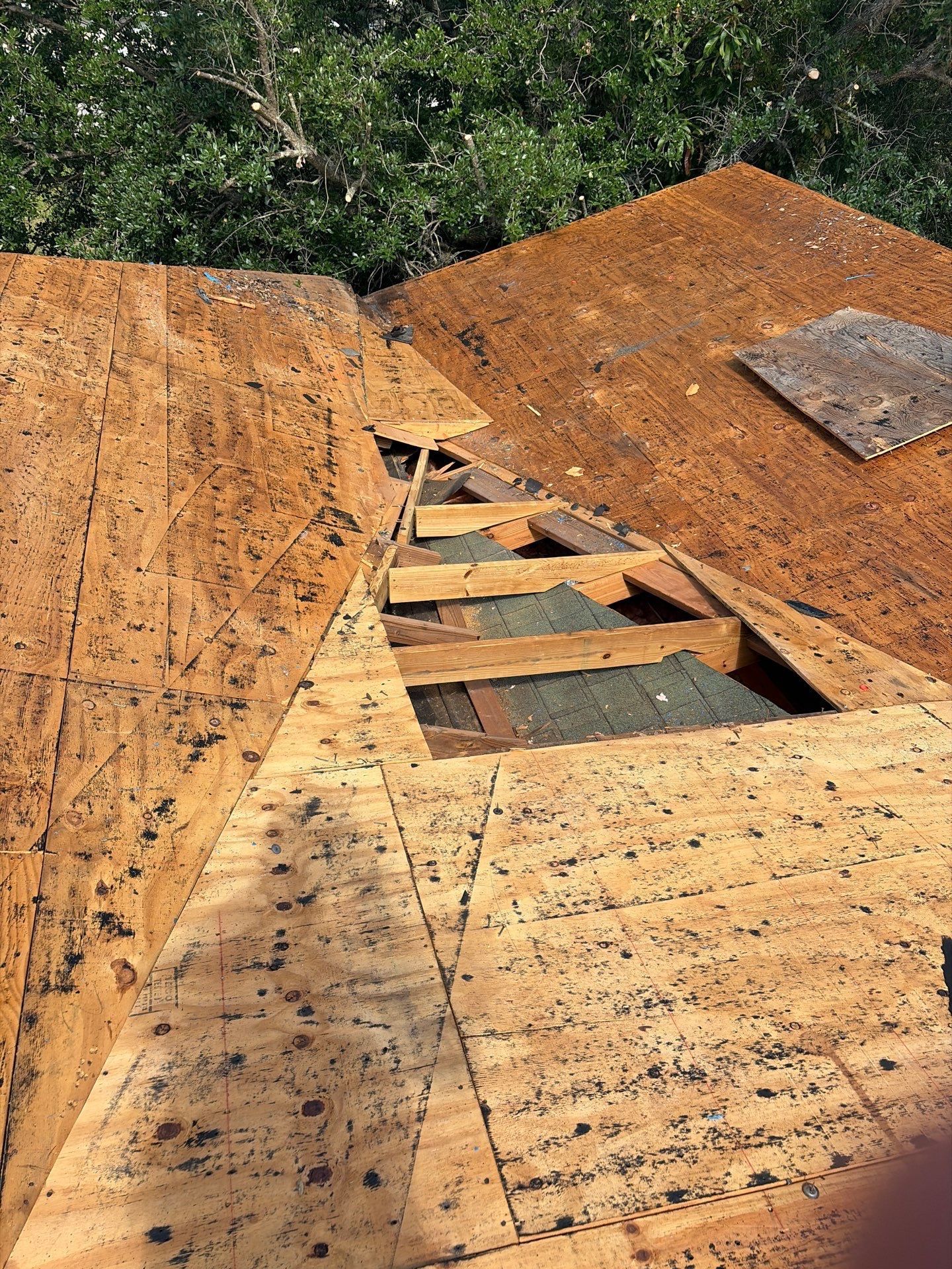 Roof under repair with exposed plywood sheathing and a rectangular patch, trees in background