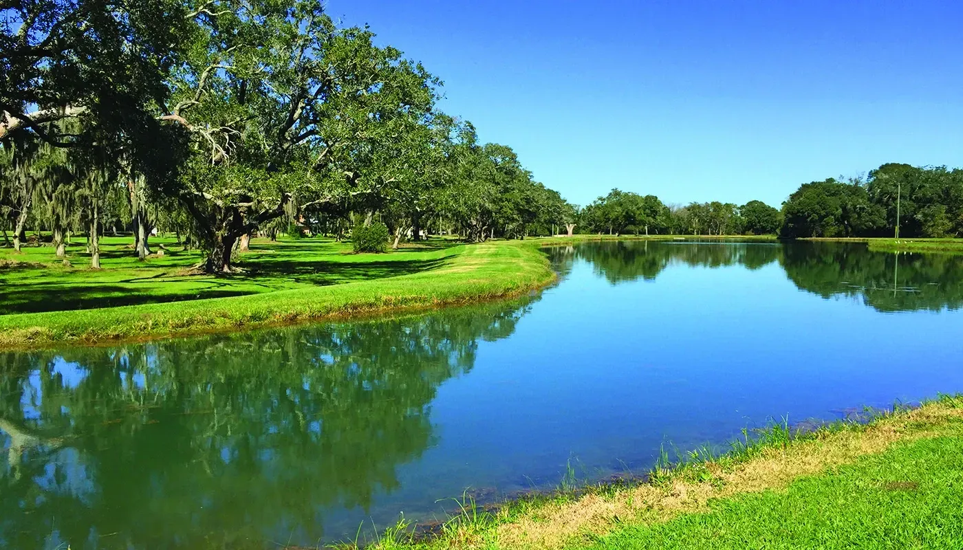 A calm blue lake with green grass banks and large trees under a clear, bright blue sky.