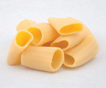 Conchiglie di pasta impilate su uno sfondo bianco