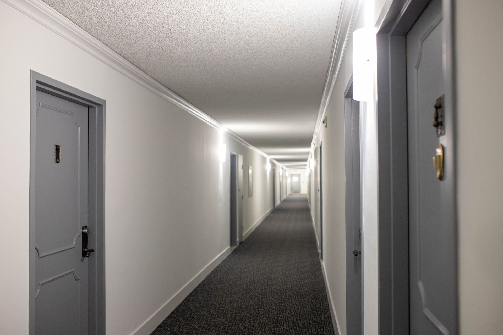 Long, empty apartment hallway with gray doors and carpet, lit by ceiling lights.