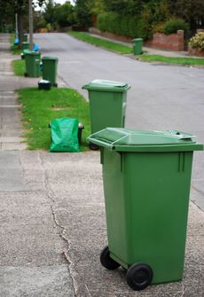 Green trash bins and bags lined along a residential street, with one bin in the foreground.