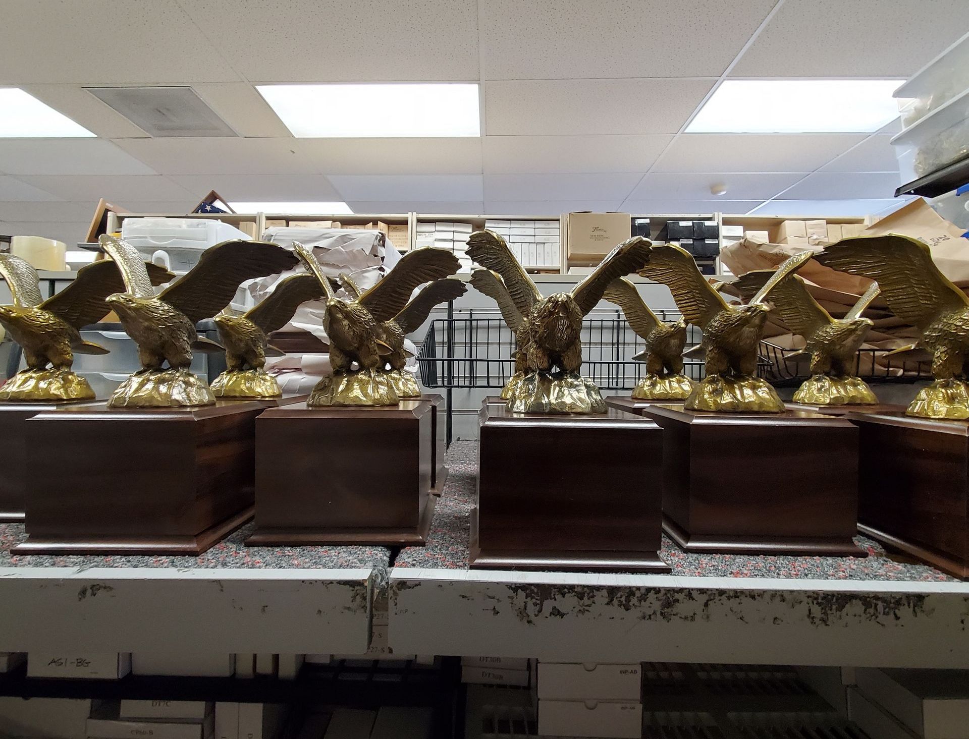 A row of eagle trophies are lined up on a shelf