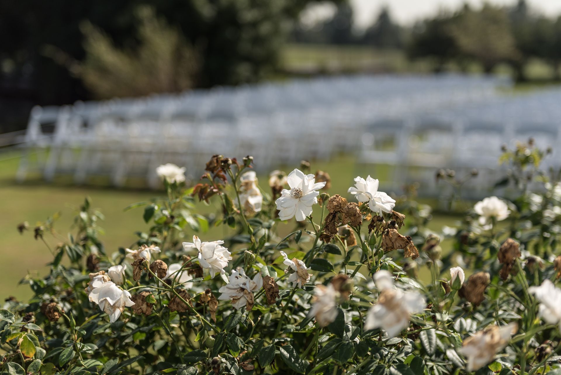 De proeftuin - van Weddingplanners International
