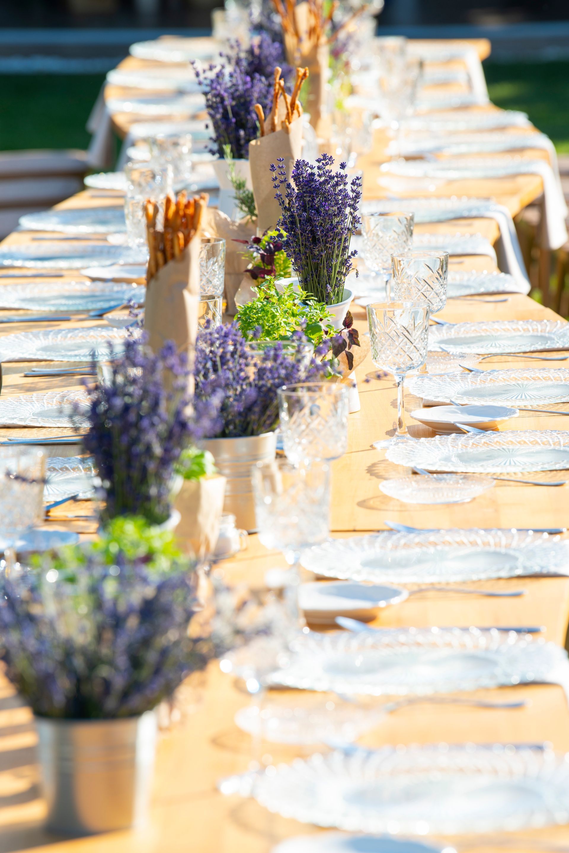 JAAROPLEIDING WEDDINGPLANNER 