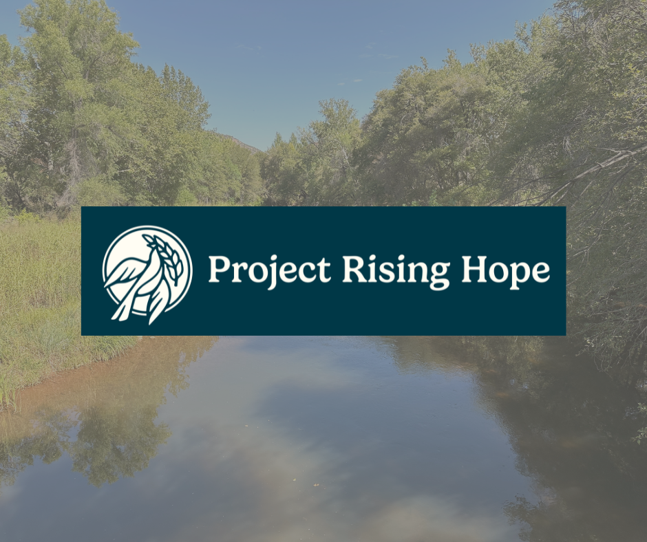 Landscape image with logo for Project Rising Hope