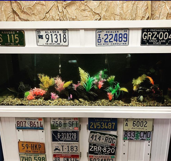 Fish tank with license plates on the front and top; various fish and decorations inside the tank.