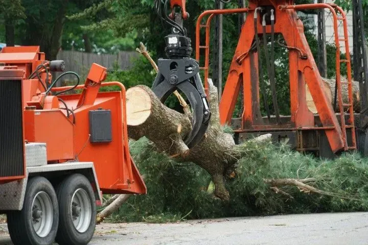 Orange wood chipper lifting a large tree trunk with a claw in a roadside cleanup scene
