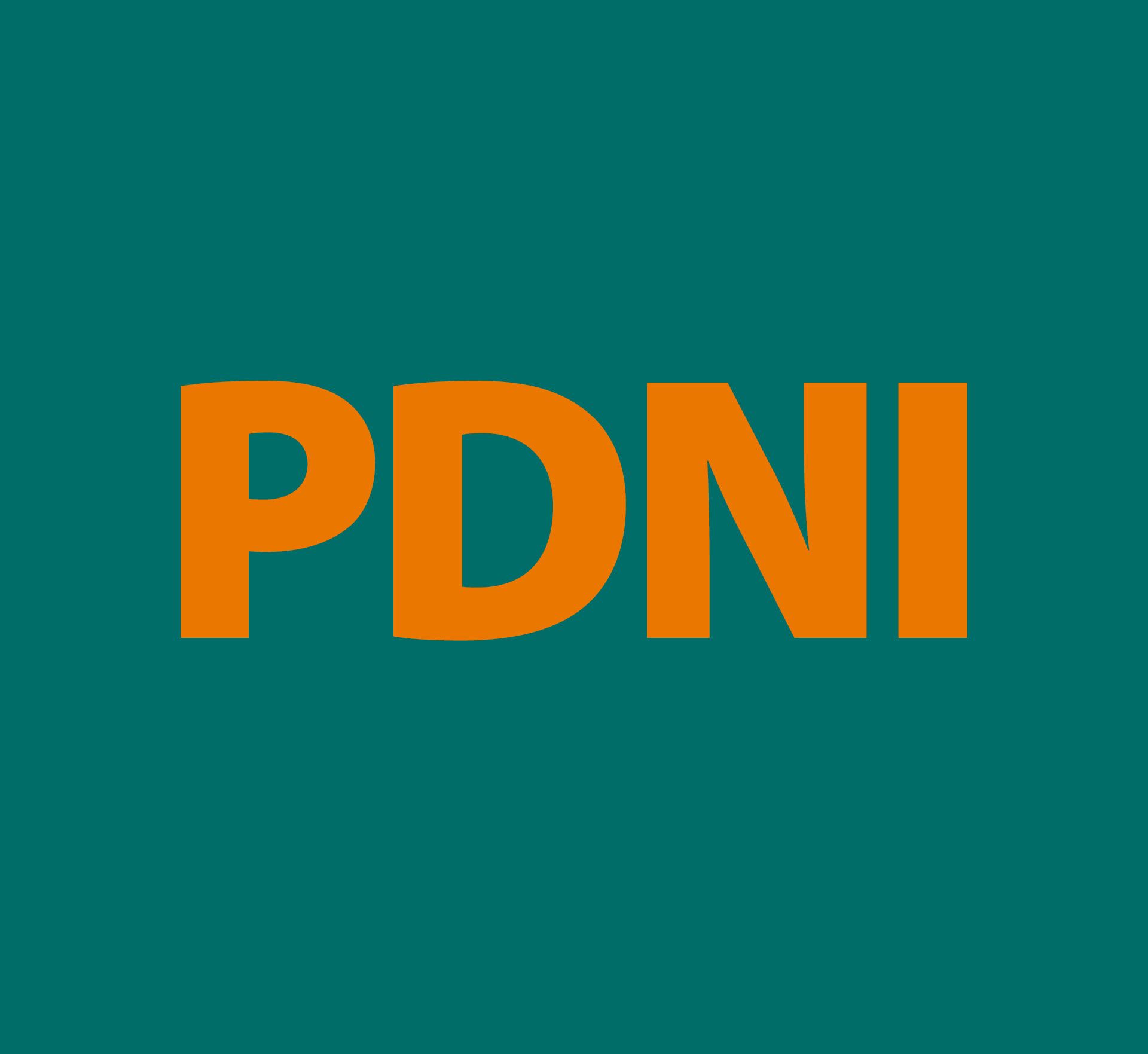 PDNI - Programa De Desenvolvimento de Negócios de Itabira