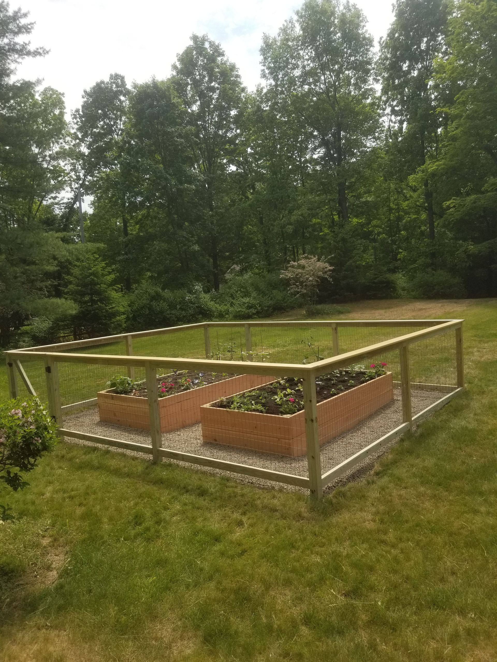 A wooden fence surrounds a garden with plants in it.