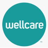 Wellcare insurance