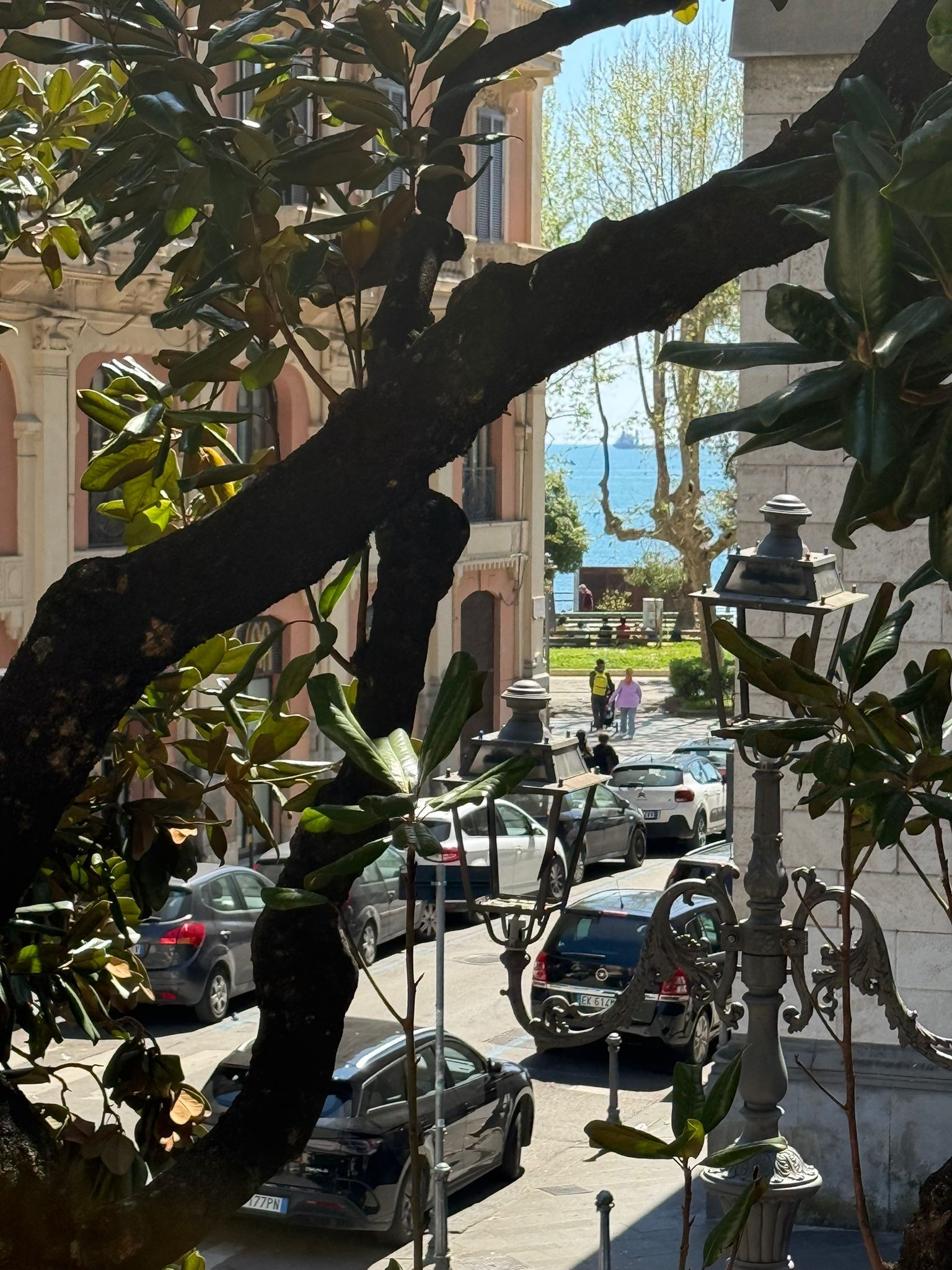 I rami degli alberi incorniciano una strada soleggiata con auto parcheggiate e una vista sul lungomare.