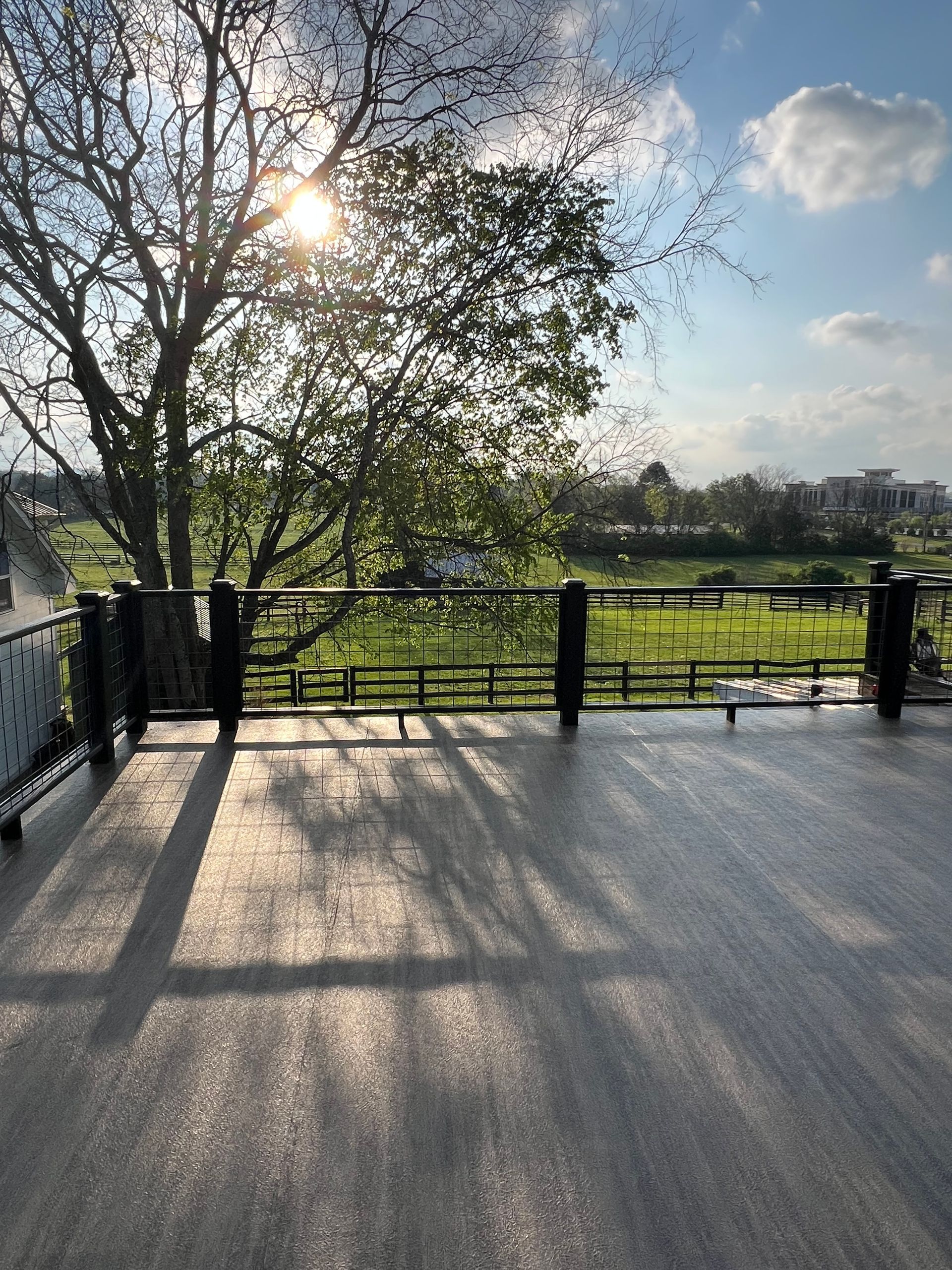 Sunlit view from a deck. A tree and railing frame a field and sky with clouds.