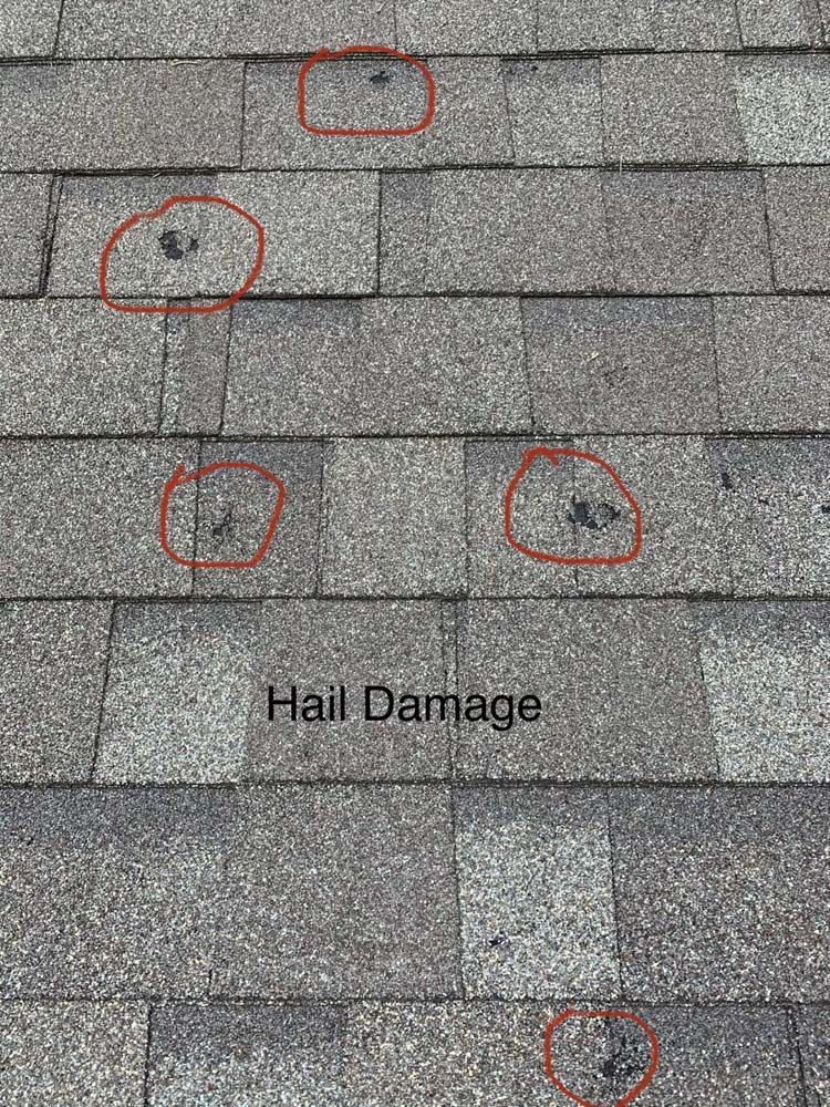 Close-up of asphalt shingle roof with several circled areas showing hail damage.