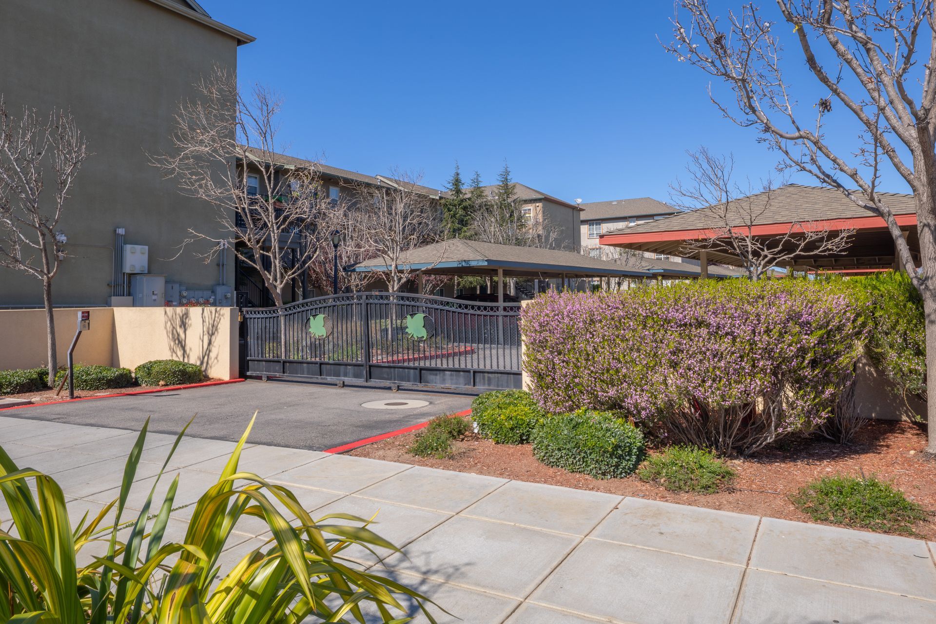 Walkway beside a building with hedges, bare trees, and a clear blue sky