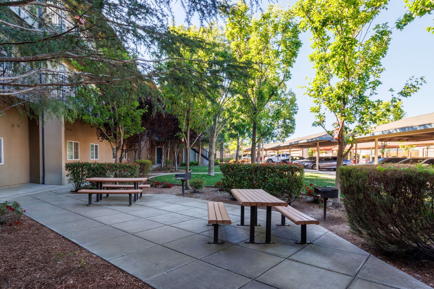 Courtyard walkway with picnic tables, trees, and a beige building in the background