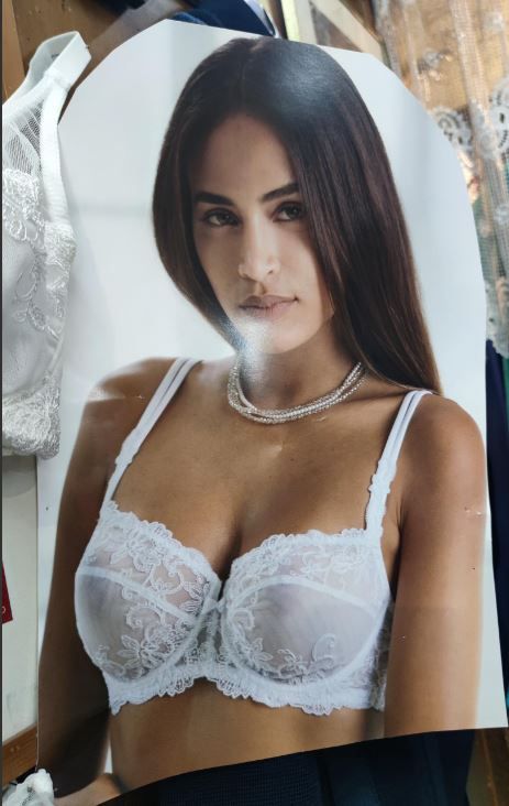 reggiseno