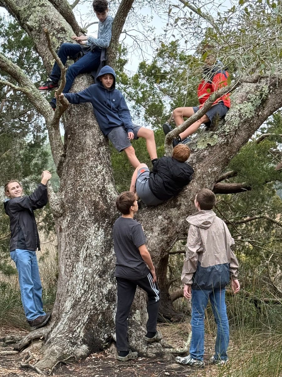 People climbing and sitting in a large tree, with others standing below in a wooded area.