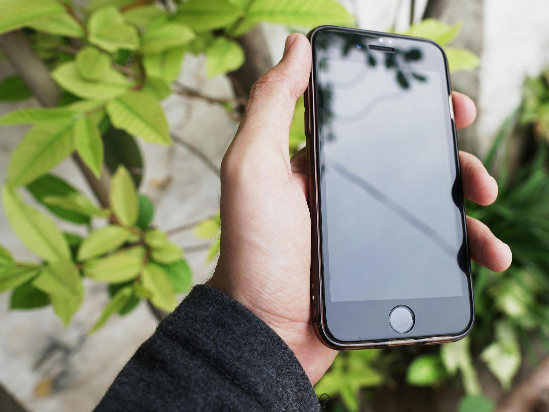 Hand holding a smartphone with a blank screen near green leaves outdoors