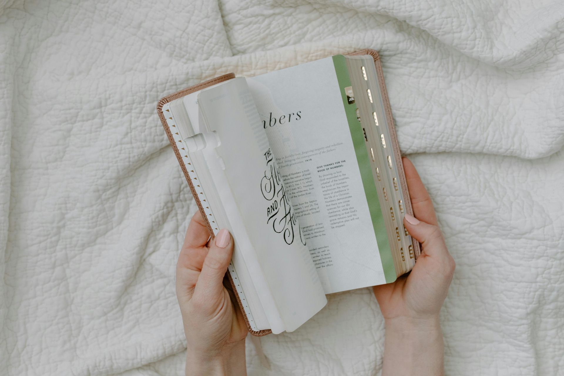 Hands holding an open notebook on a white blanket, showing a torn page and green-edged pages.