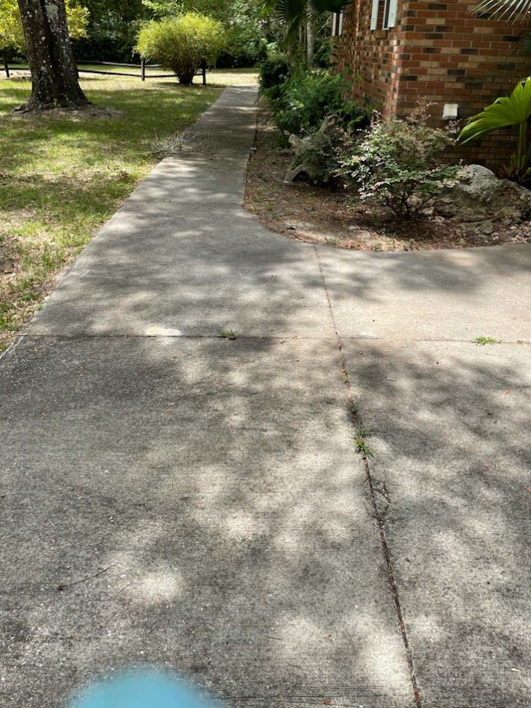 A sidewalk leading to a brick house with trees on both sides.