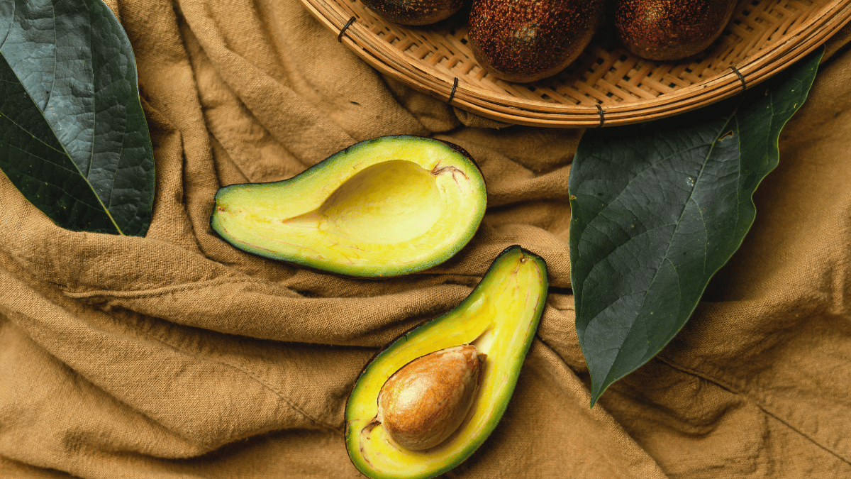 Avocado