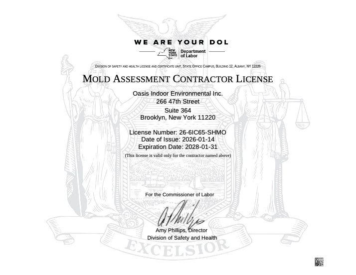 Texas Mold Assessment Contractor License certificate with state seal and official text on a white background
