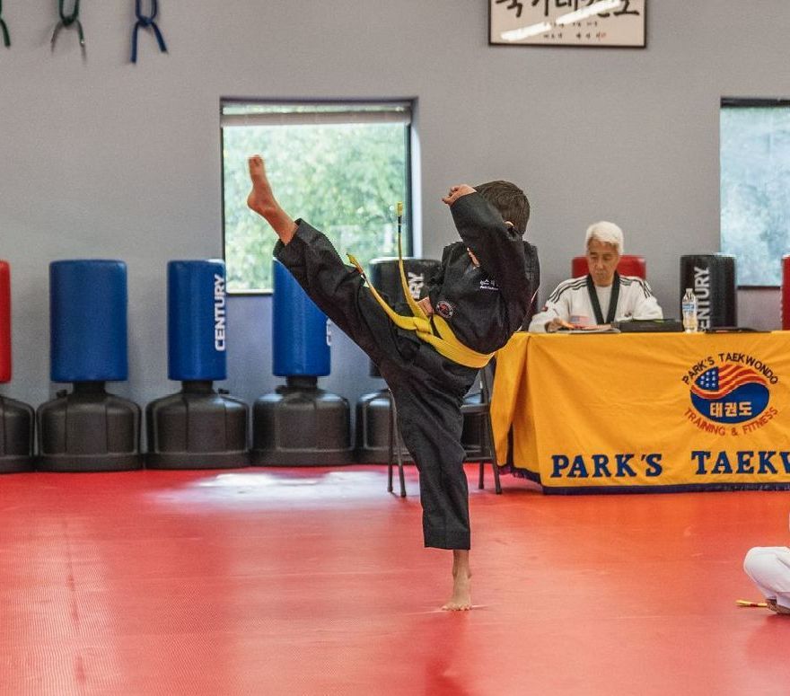 Taekwondo