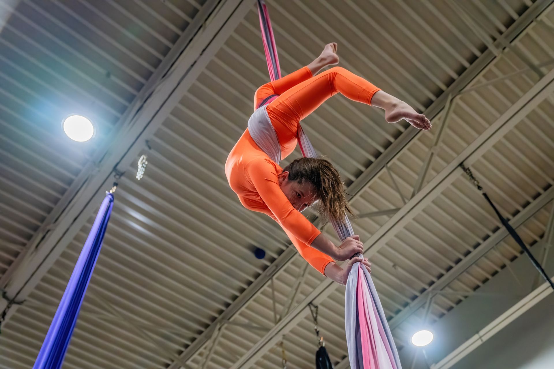 Aerial Art & Acro