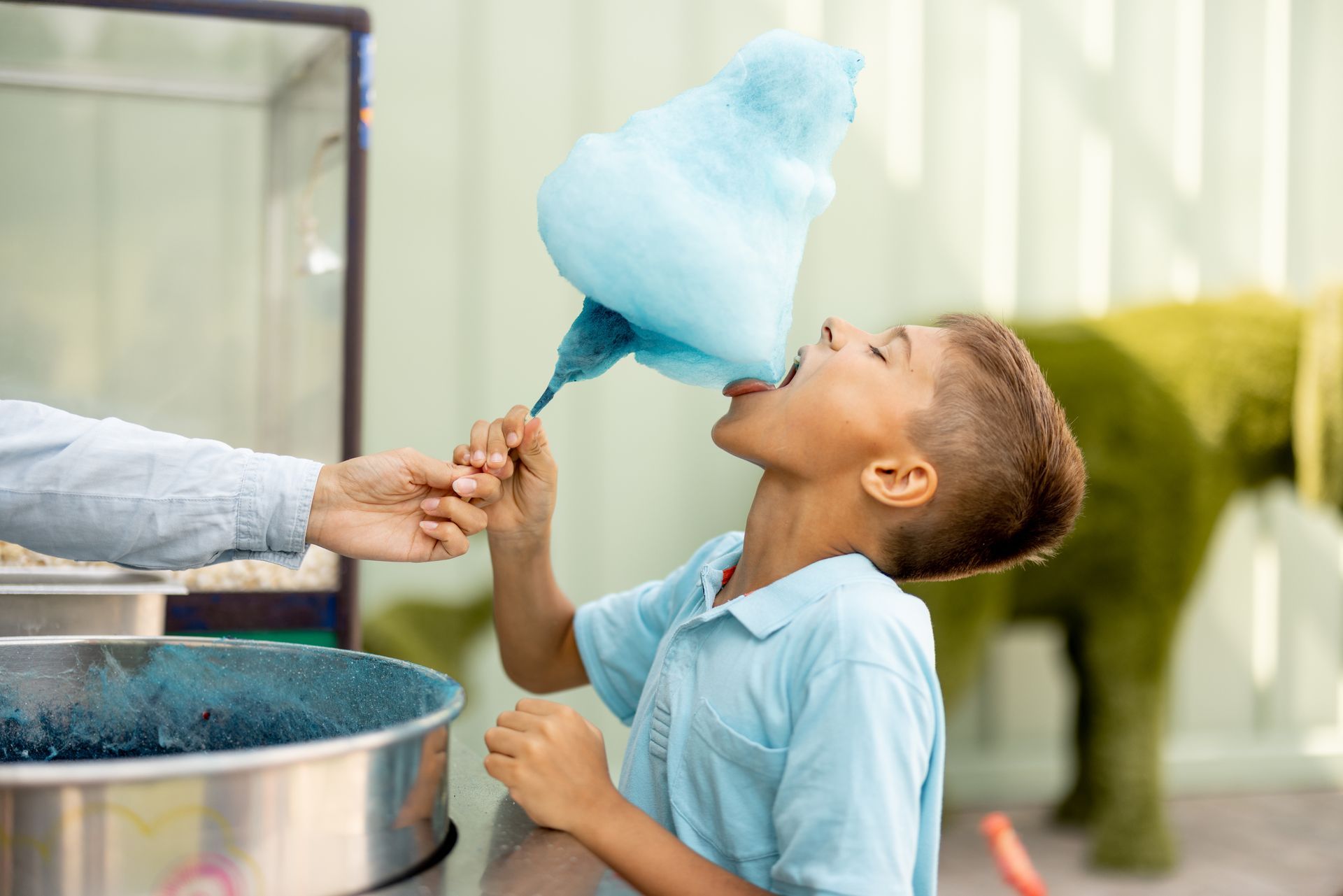 Cotton Candy at Kids First' Fall Festival