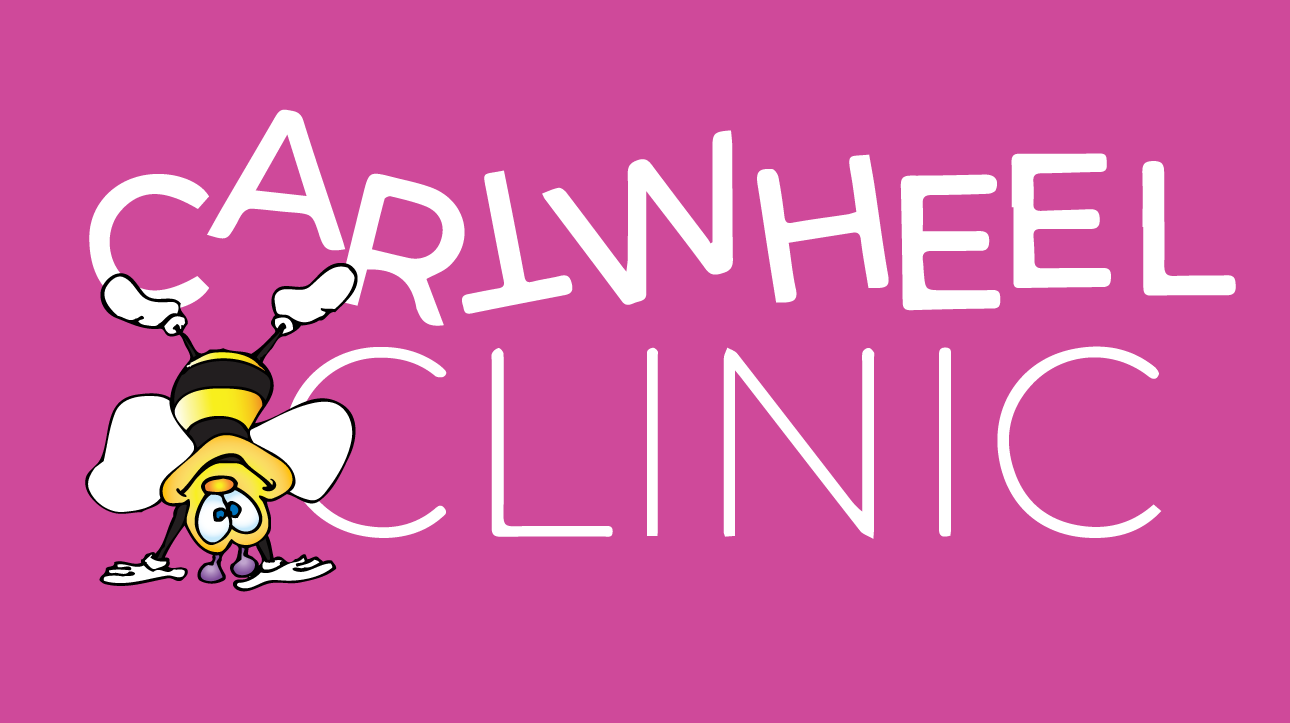 Tumble Bees Cartwheel Clinic