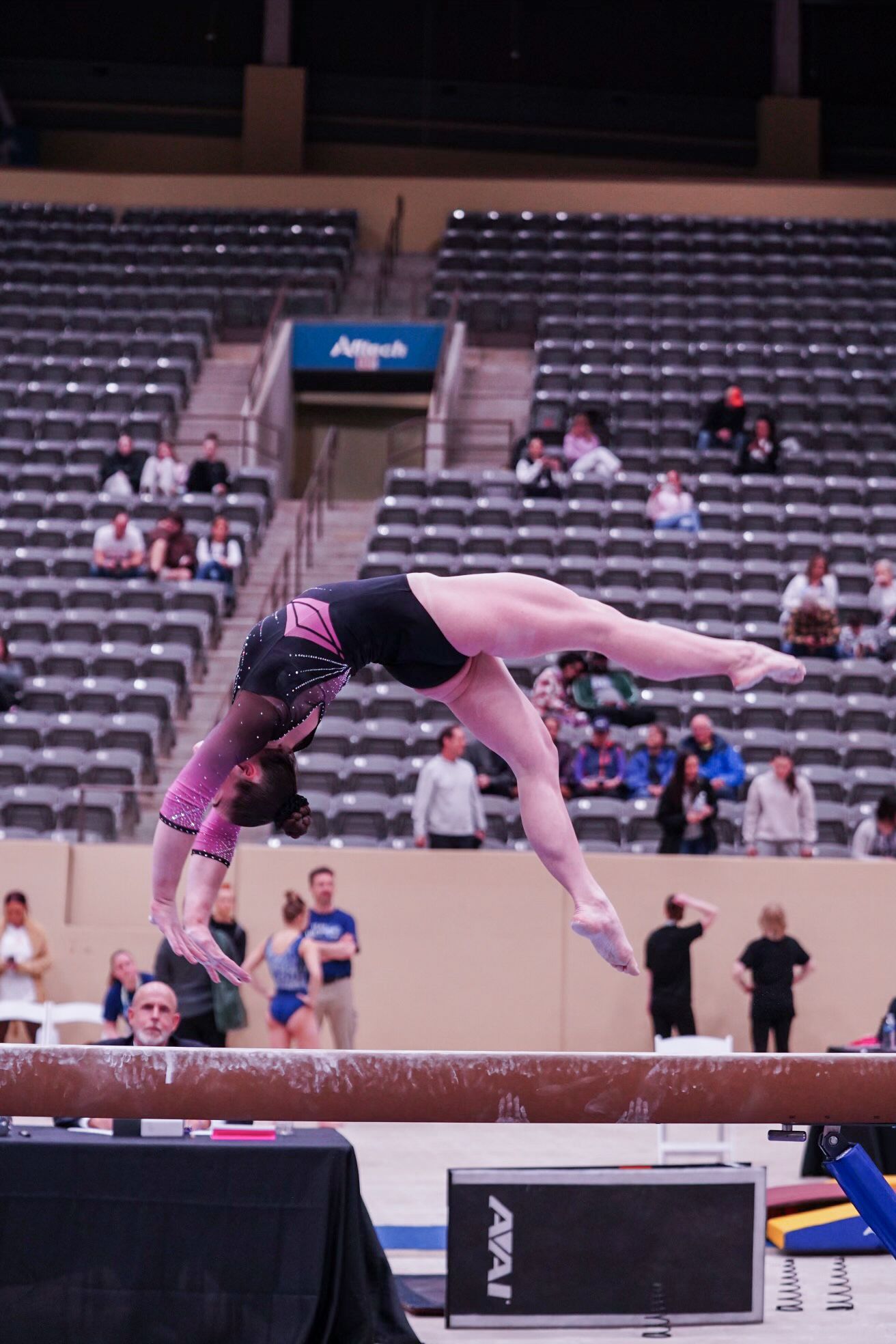 Girls Competitive Gymnastics Teams