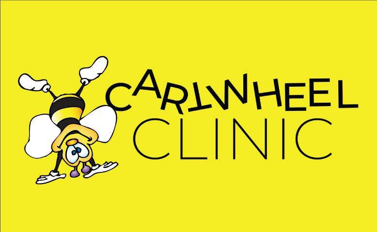 Yellow logo with a bee mascot and the words “CARWHEEL CLINIC” in black and white