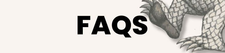 FAQs text with a dragon illustration in the background.