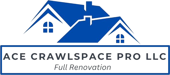 Ace Crawlspace Pro