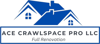 Ace Crawlspace Pro