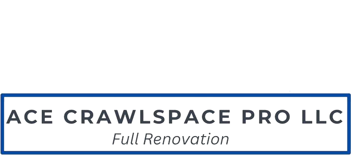 Ace Crawlspace Pro