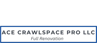 Ace Crawlspace Pro