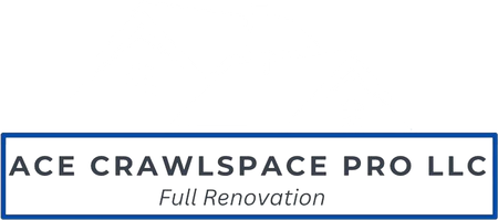 Ace Crawlspace Pro